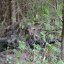 FROGGEAR® Sniper-hood - vz. 95
