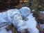 FROGGEAR® Zimní uniforma VIKING GEN 2 / kalhoty - PenCott Snowdrift
